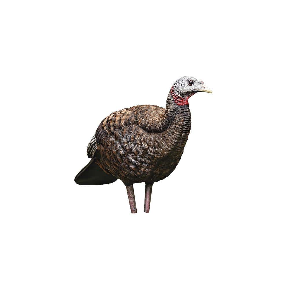 Avian-X LCD breeder hen turkey decoy standing on its stake, side view