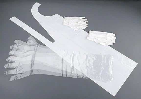 Allen Field Dressing Glove - 2-Pair