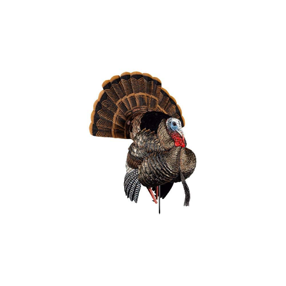 Avian-X HDR Strutter