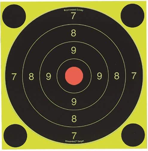 Birchwood Casey Shoot-N-C International Target
