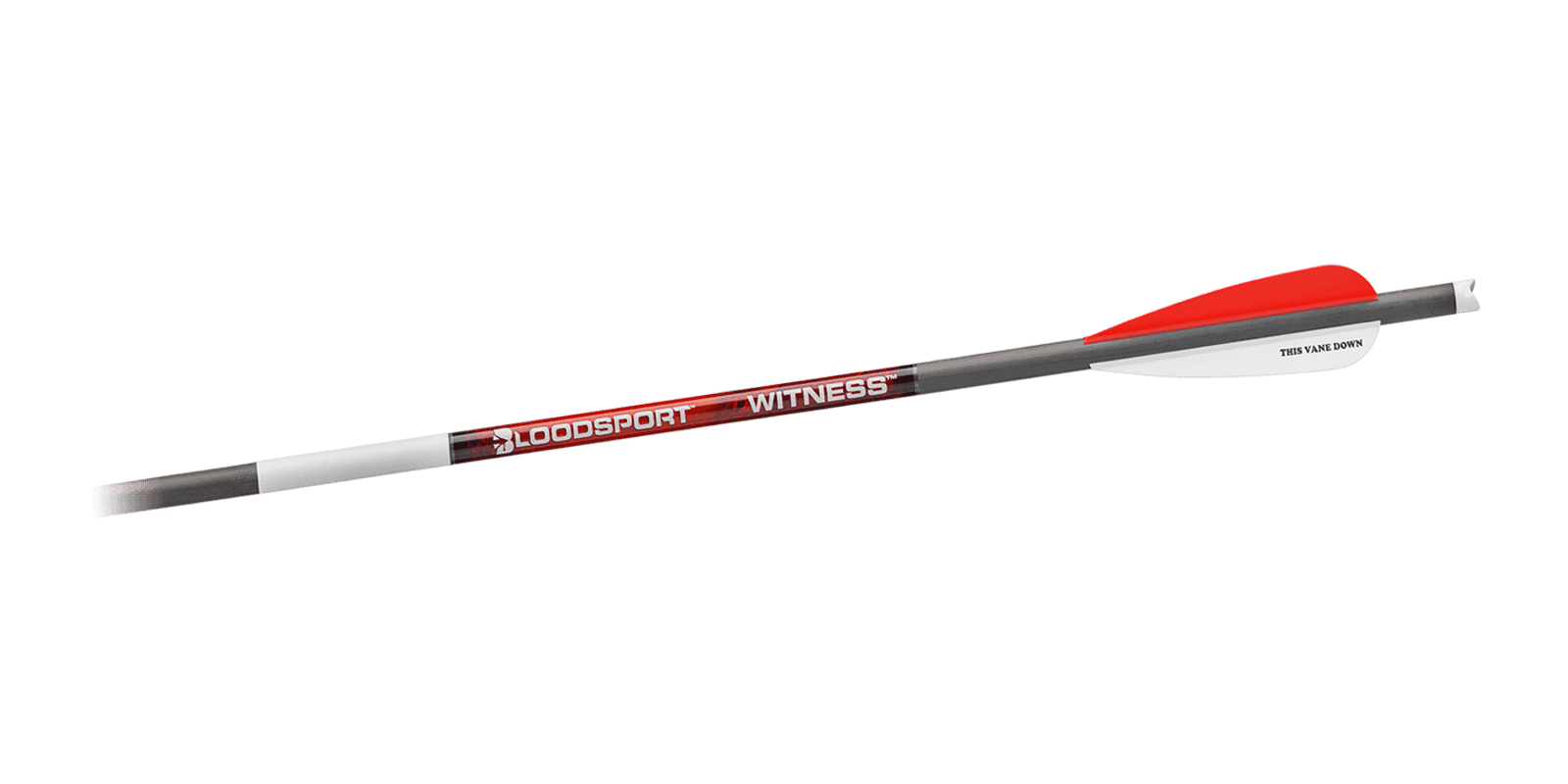 Bloodsport Witness Crossbow Bolt 22" 300 Spine 6/pk