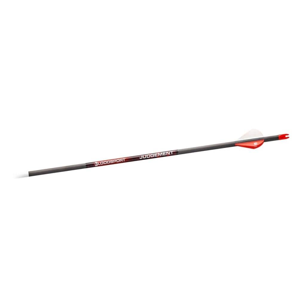 Bloodsport Judgement Arrow 350 Spine 6/pk