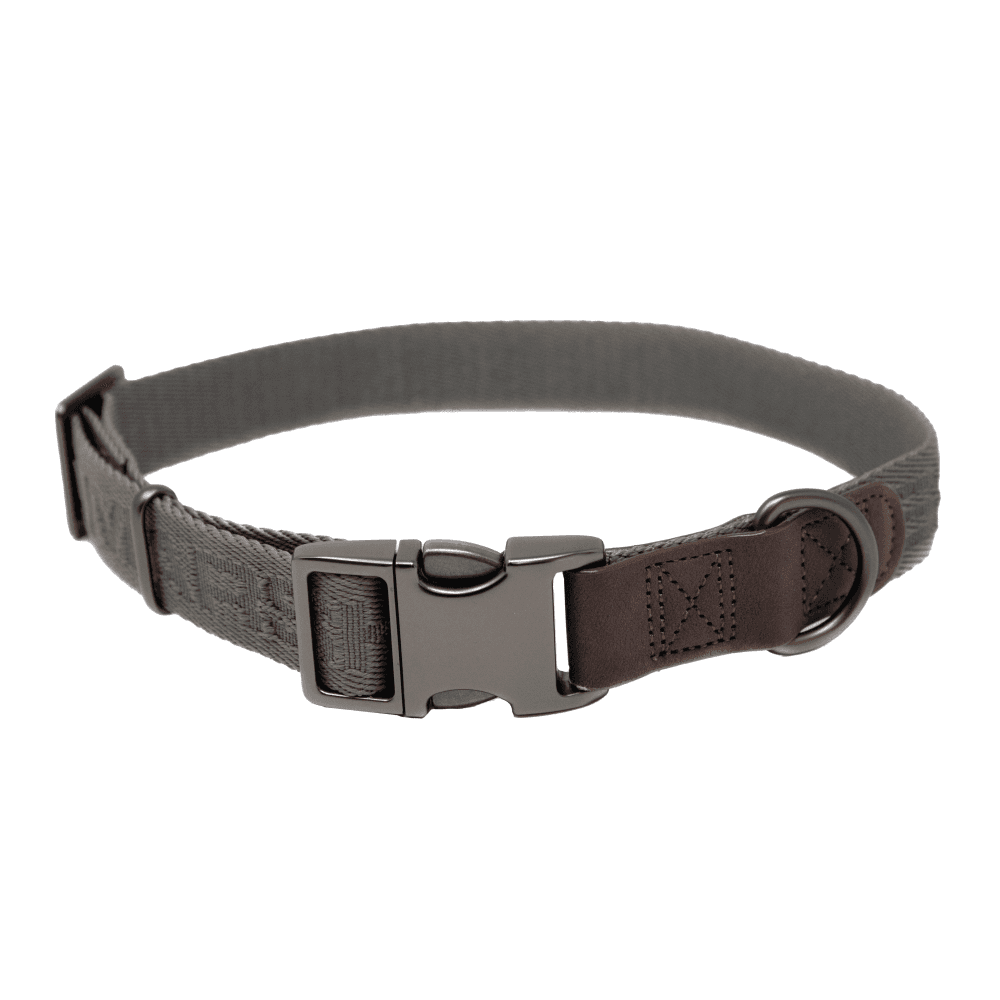 MoMarsh Adjustable Dog Collar 15"-23" Gun Metal Grey