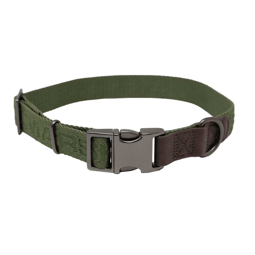 MoMarsh Adjustable Dog Collar 15"-23" Cypress Green