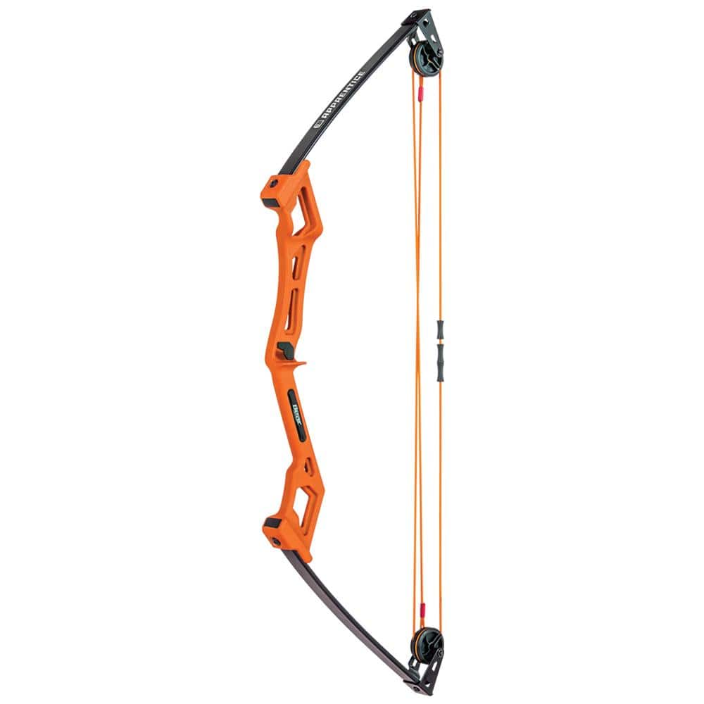 Bear Archery Traditional Youth Bow - Apprentice RH Orange