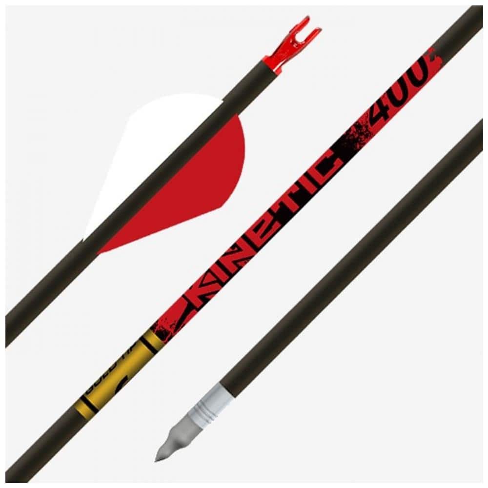 Gold Tip Kinetic 300 2in Raptor Vanes - 1/2dz