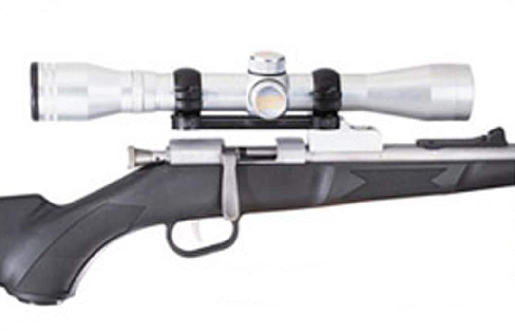 Henry 22 Mini-Bolt Receiver Scope Mount