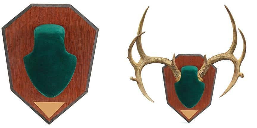 Allen Antler Mounting Kit - Green Skull