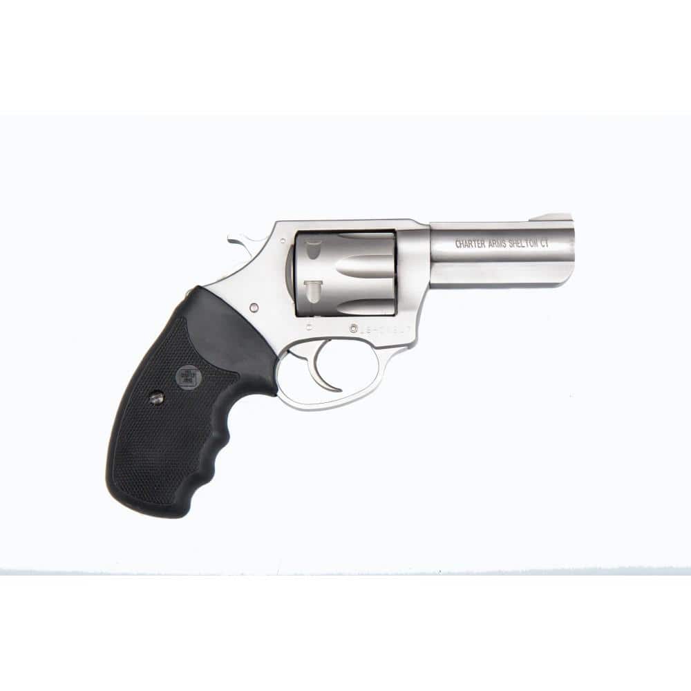 Charter Arms Pit Bull Handgun .380 ACP 6rd Capacity 3" Barrel Stainless Steel REFURBISHED
