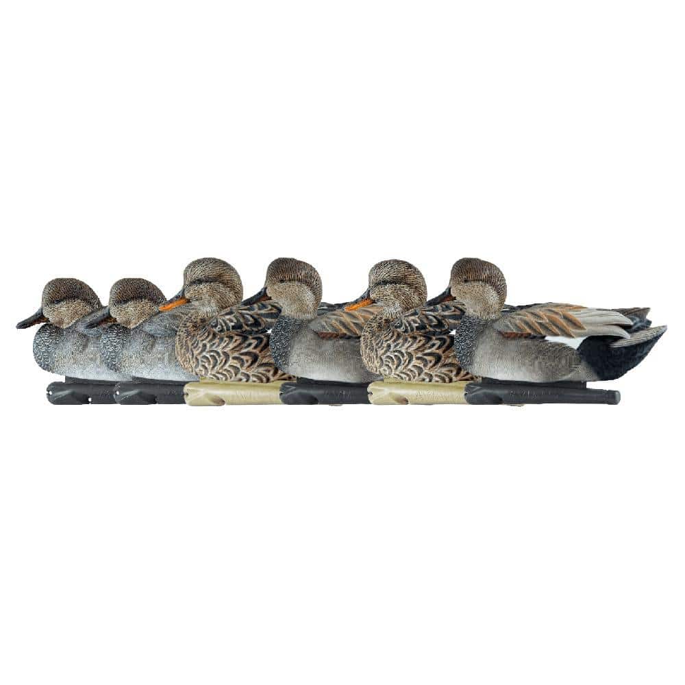 Avian-X Topflight Decoys Gadwall 6/ct