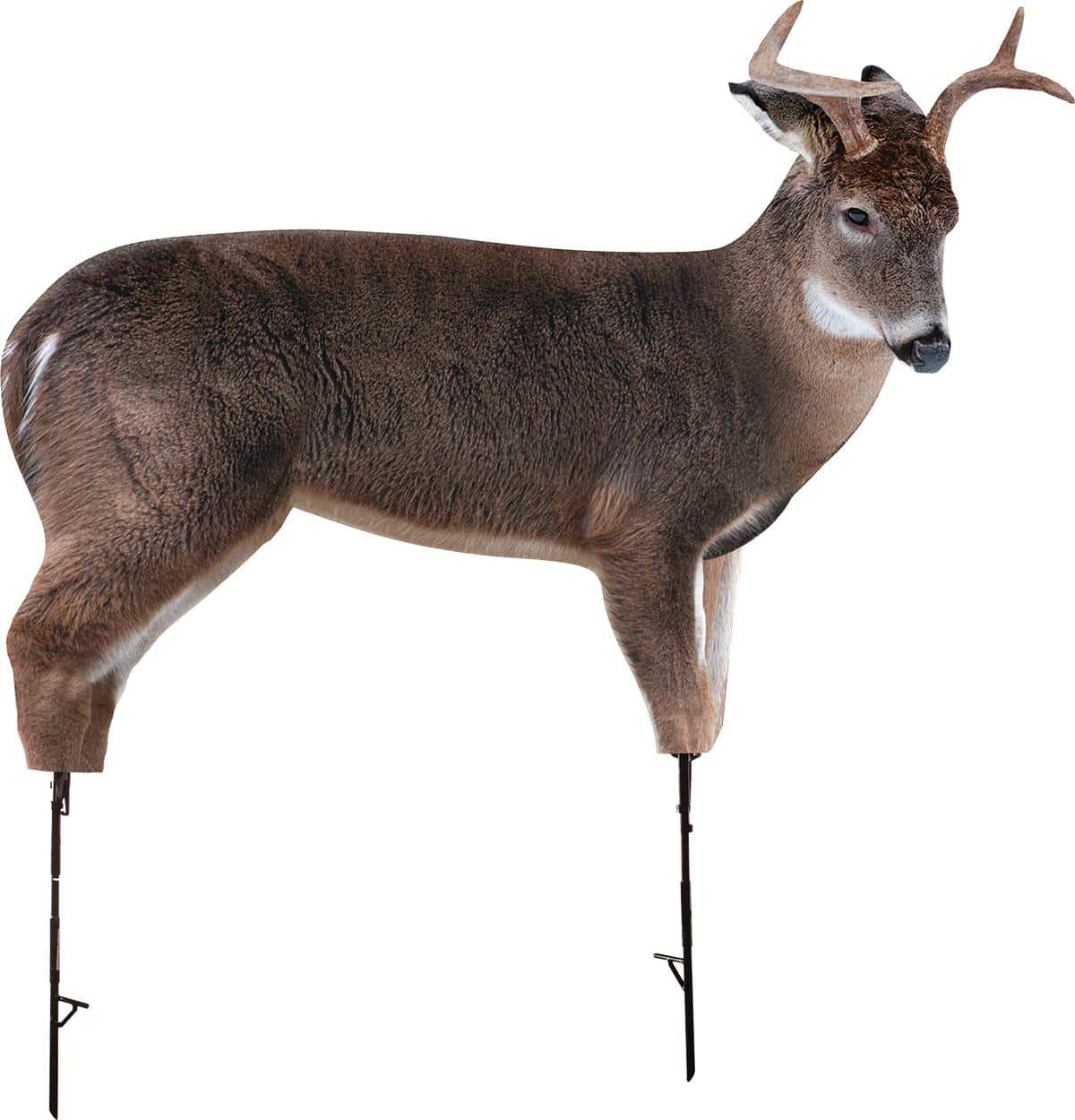 Montana Decoy Co The Freshman Buck Decoy