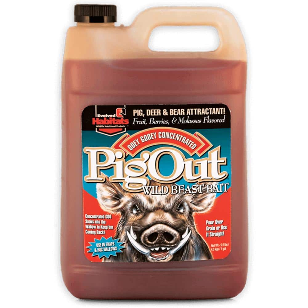 Evolved Pig Out Liquid Attractant 1 gal