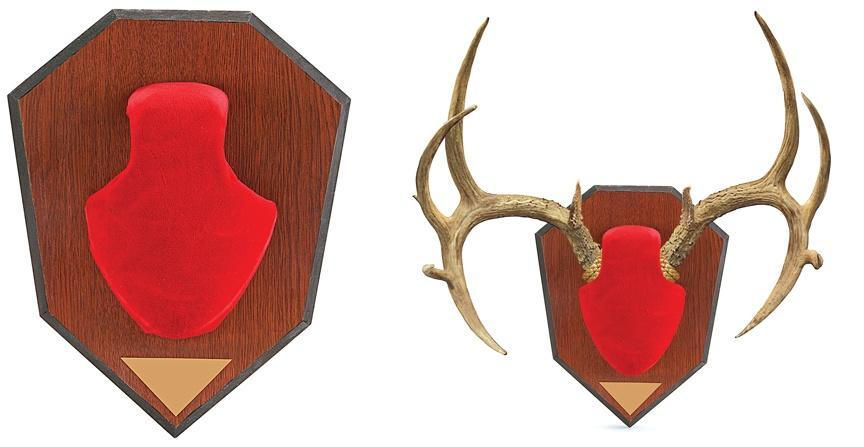 Allen Antler Mounting Kit - Red Skull Picture of The Allen Company Inc. ANTLER MOUNTING KIT RED SKULL
