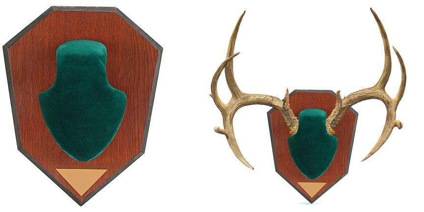 Allen Antler Mounting Kit - Green Skull Picture of The Allen Company Inc. ANTLER MOUNTING KIT GREEN SKULL
