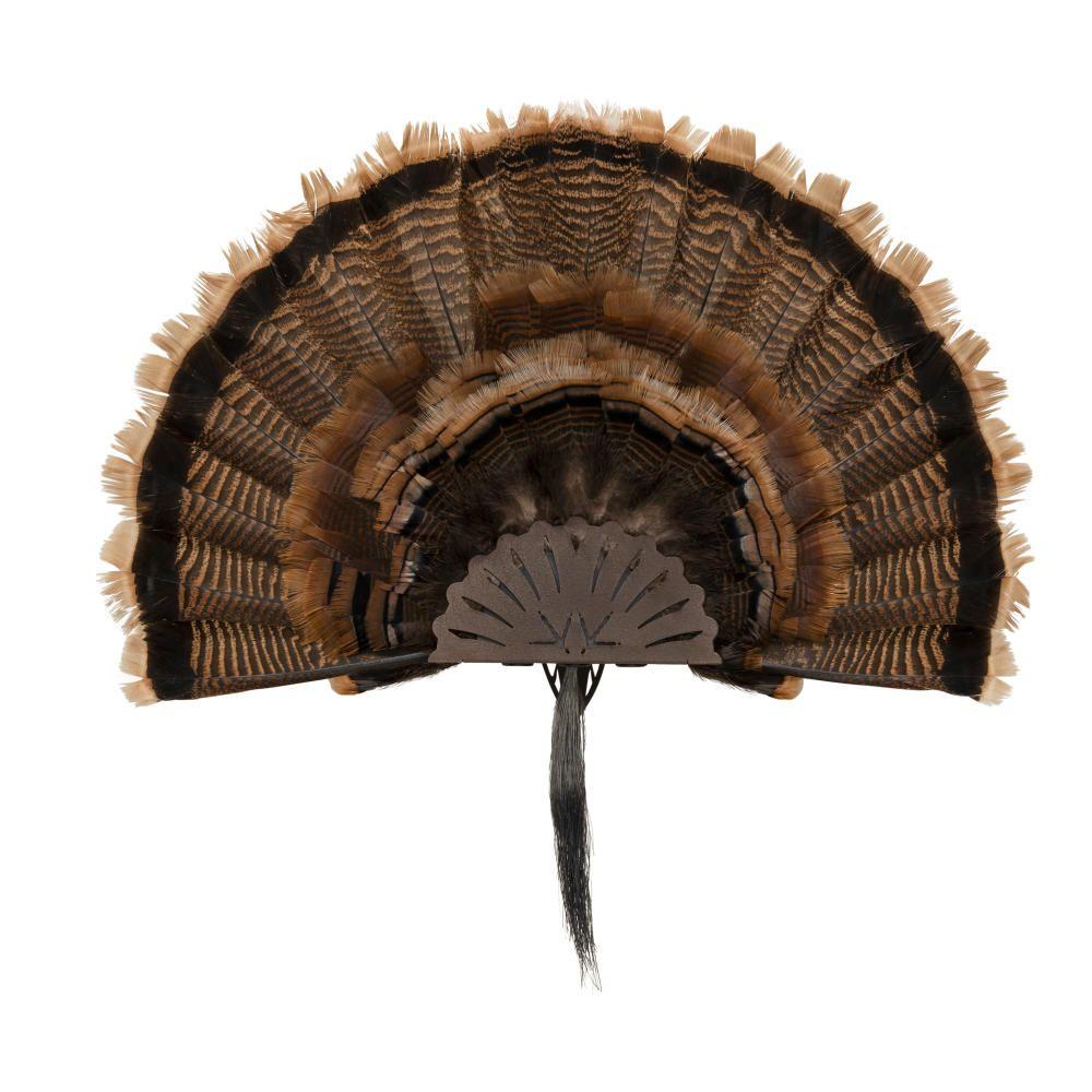 Allen EZ Mount Turkey Fan Display Brown Picture of The Allen Company Inc. ALLEN EZ MOUNT TURKEY FAN DISPLAY