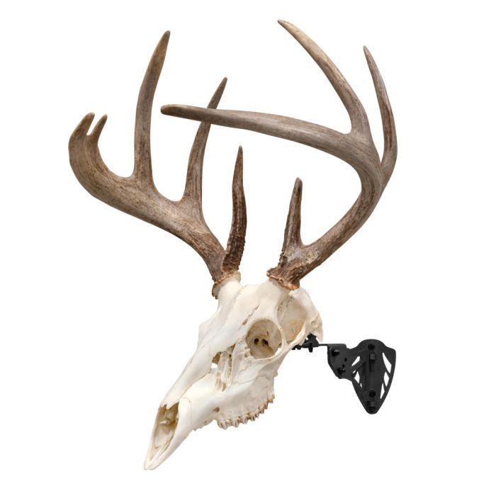 Picture of The Allen Company Inc. ALLEN EZ MOUNT TROPHY SKULL HANGER BLACK