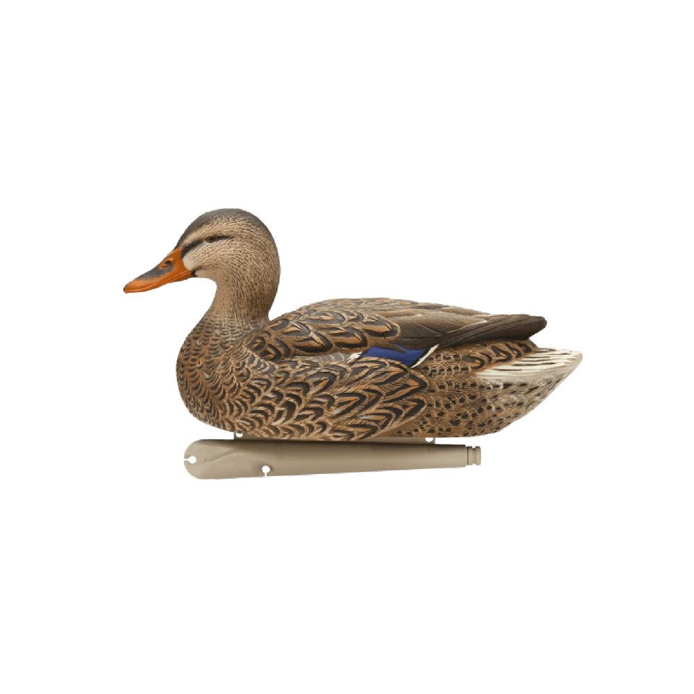 Avian-X Topflight Fusion Pack - Mallard 6/ct Picture of AVIAN AVIAN X TOP FLIGHT FUSION PACK MALLARD