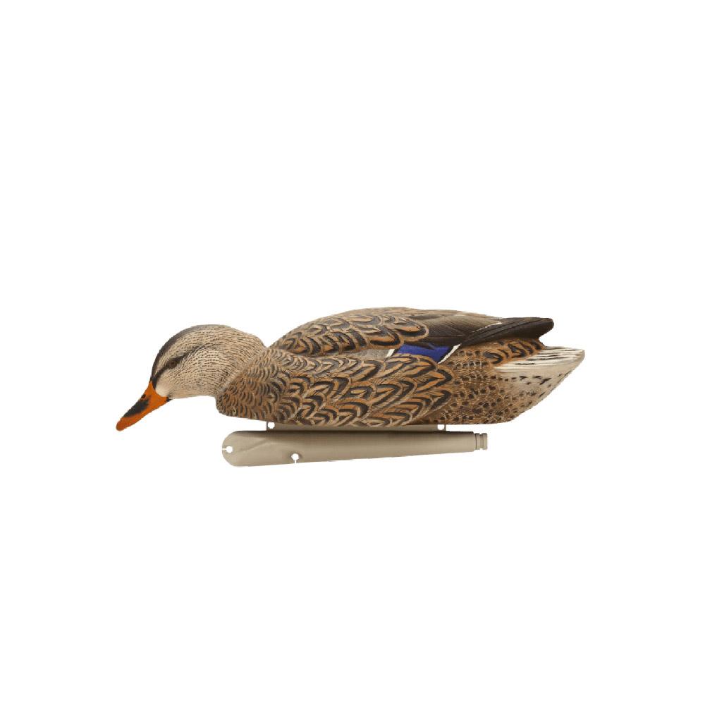 Avian-X Topflight Fusion Pack - Mallard 6/ct Picture of AVIAN AVIAN X TOP FLIGHT FUSION PACK MALLARD