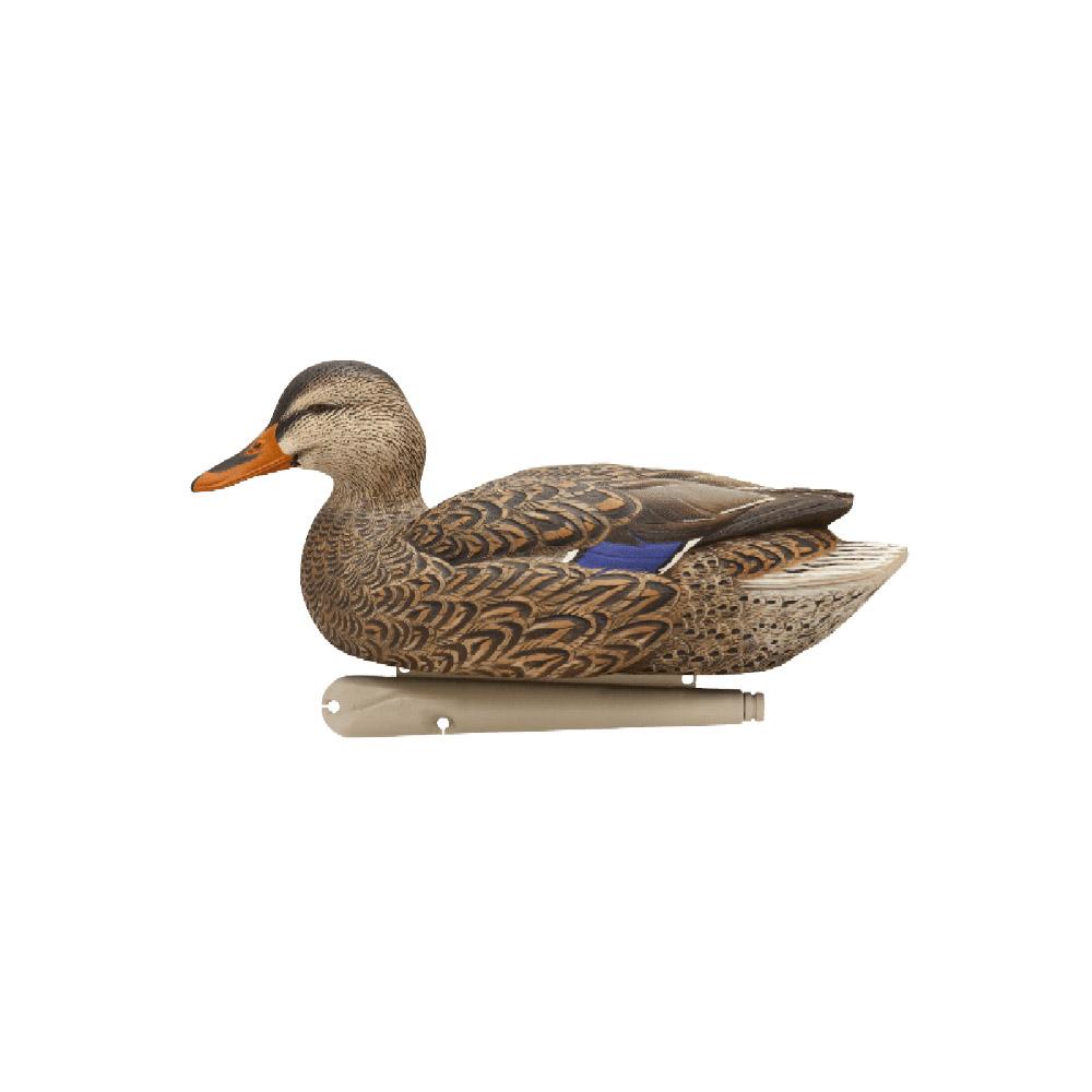 Avian-X Topflight Fusion Pack - Mallard 6/ct Picture of AVIAN AVIAN X TOP FLIGHT FUSION PACK MALLARD