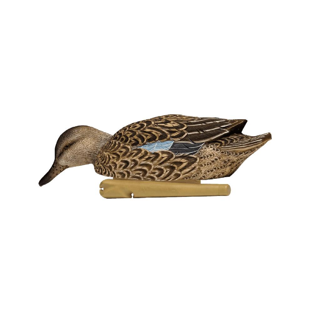 Avian-X Topflight Blue Wing Teal Decoys 6/ct Picture of AVIAN AVIAN X TOP FLIGHT BLUE WING TEAL