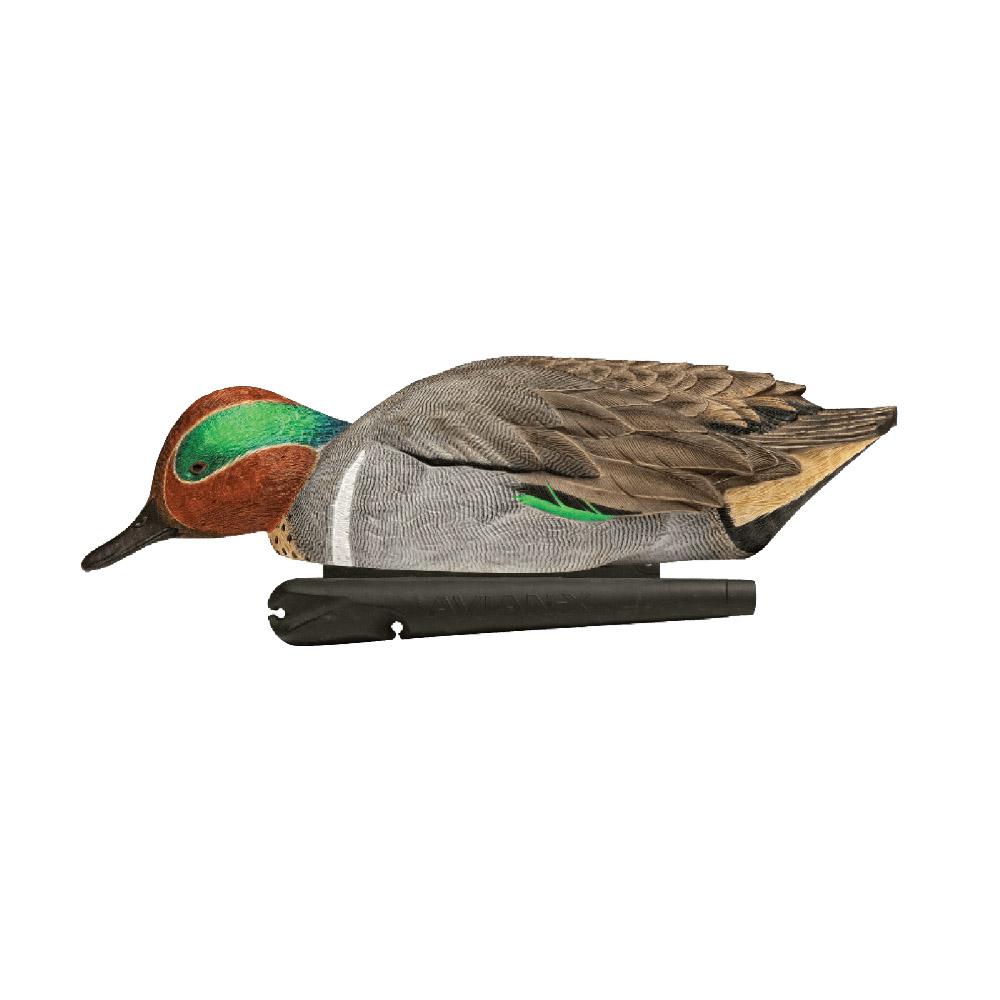 Avian-X Topflight Green Wing Teal Decoys 6/ct Picture of AVIAN AVIAN X TOP FLIGHT GREEN WING TEAL