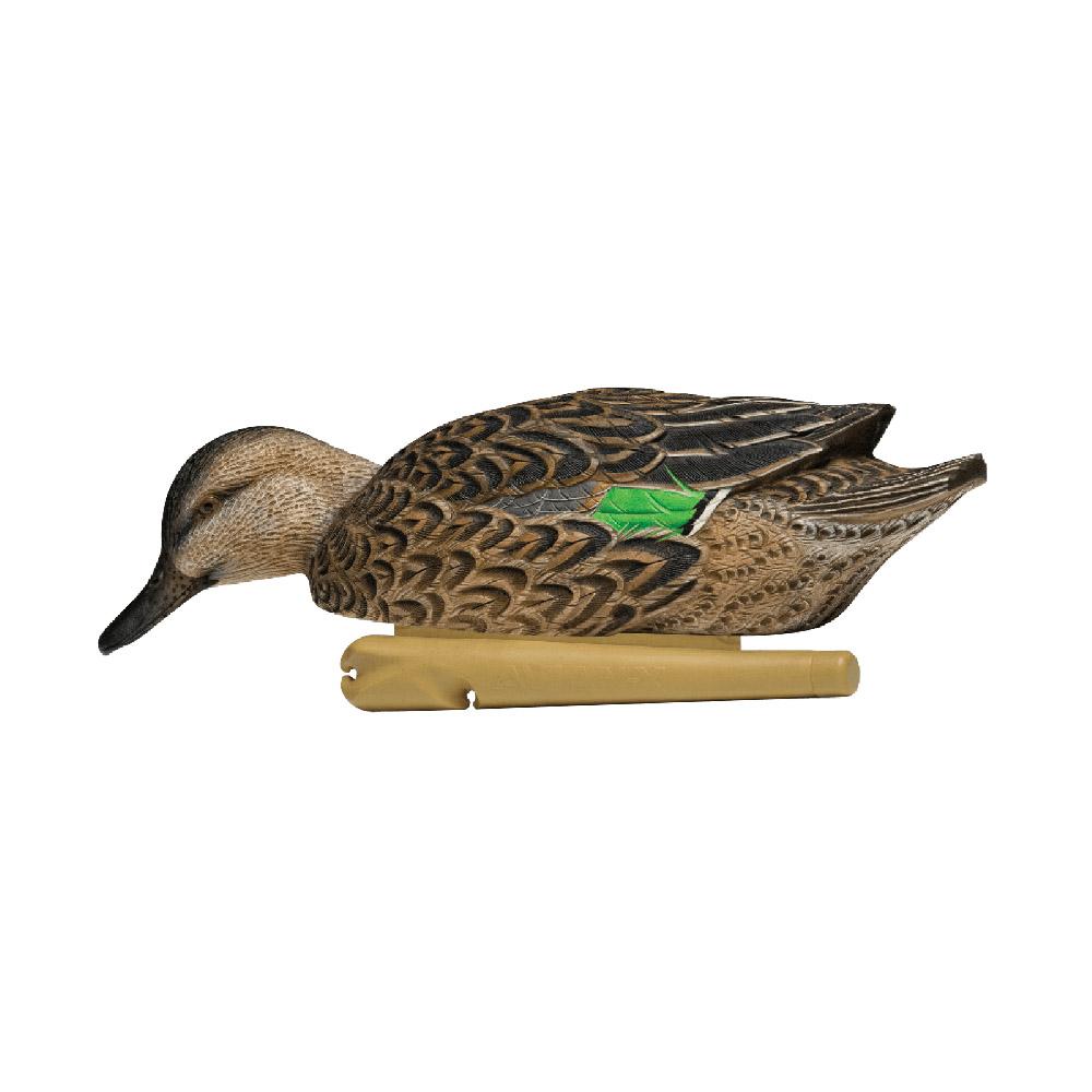 Avian-X Topflight Green Wing Teal Decoys 6/ct Picture of AVIAN AVIAN X TOP FLIGHT GREEN WING TEAL