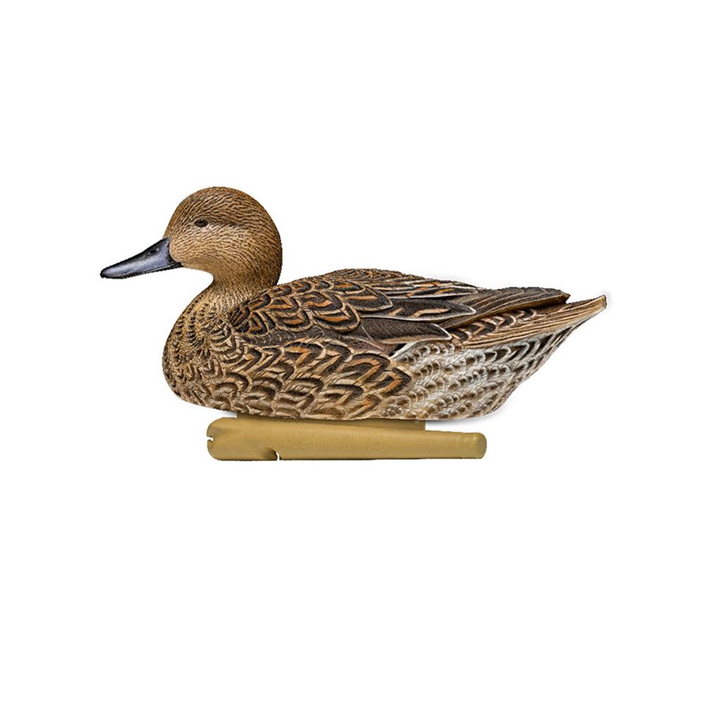Avian-X Topflight Pintails Duck Decoys 6/ct Picture of AVIAN AVIAN TOPFLIGHT FLOATING / PINTAILS