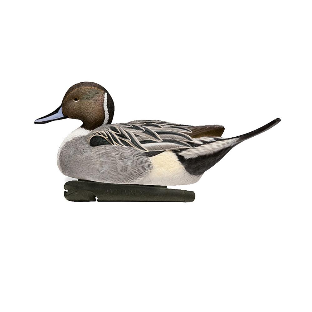 Avian-X Topflight Pintails Duck Decoys 6/ct Picture of AVIAN AVIAN TOPFLIGHT FLOATING / PINTAILS