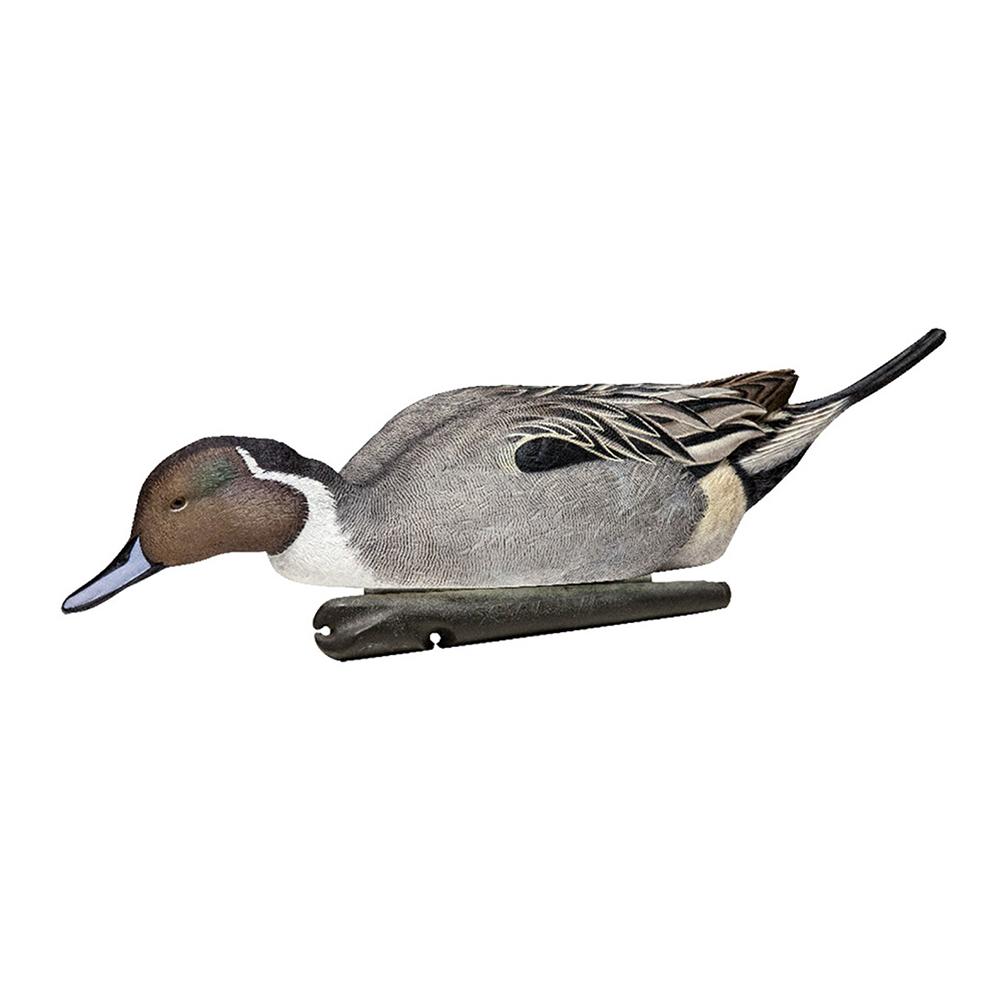 Avian-X Topflight Pintails Duck Decoys 6/ct Picture of AVIAN AVIAN TOPFLIGHT FLOATING / PINTAILS