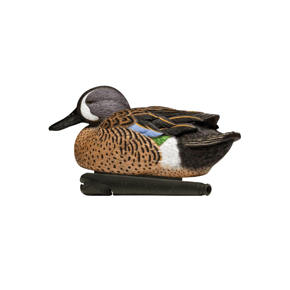 Avian-X Topflight Blue Wing Teal Decoys 6/ct Picture of AVIAN AVIAN X TOP FLIGHT BLUE WING TEAL