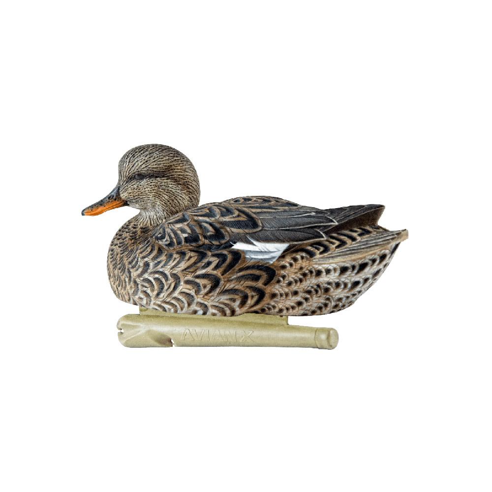 Avian-X Topflight Decoys Gadwall 6/ct Picture of AVIAN AVIAN X TOP FLIGHT GADWALL