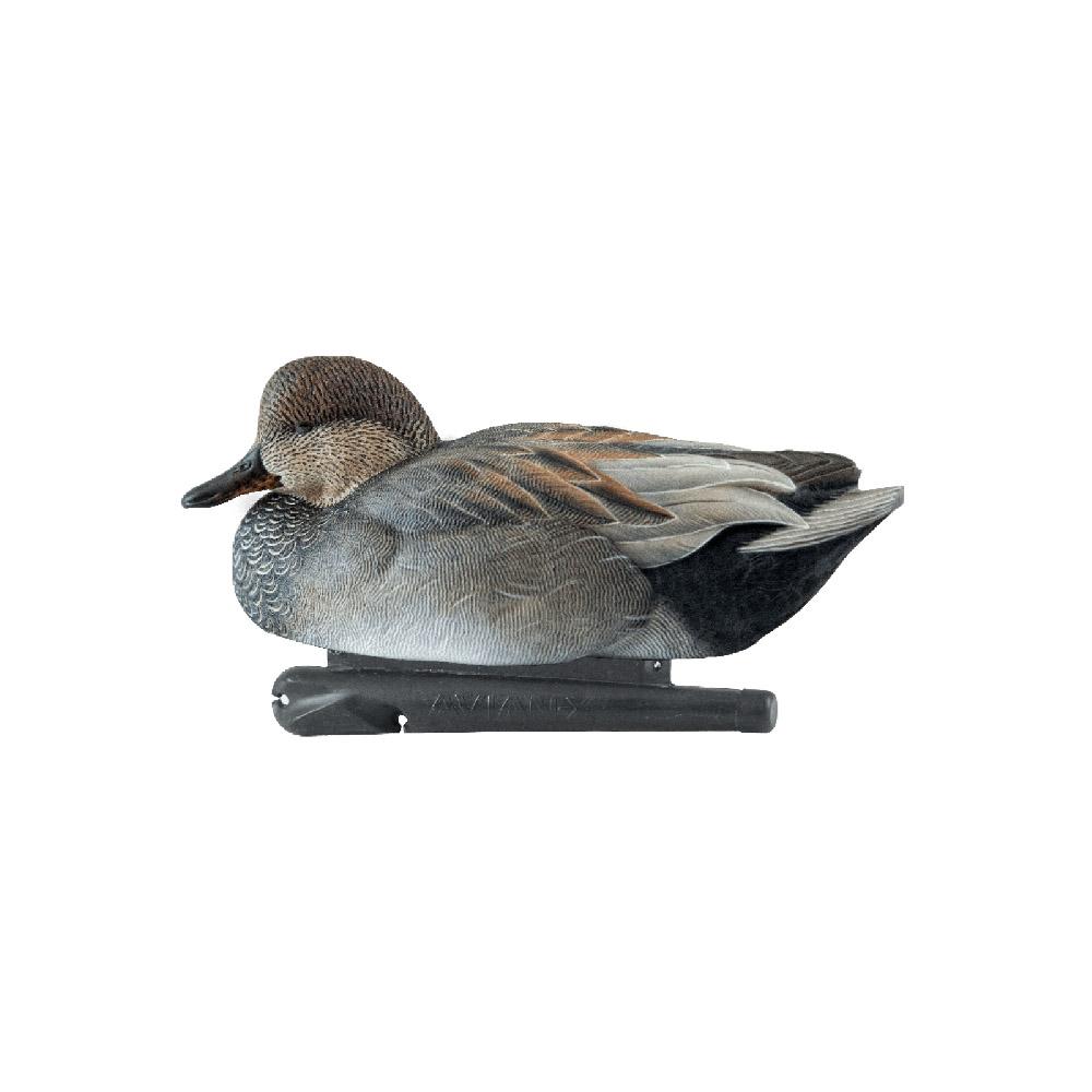 Avian-X Topflight Decoys Gadwall 6/ct Picture of AVIAN AVIAN X TOP FLIGHT GADWALL