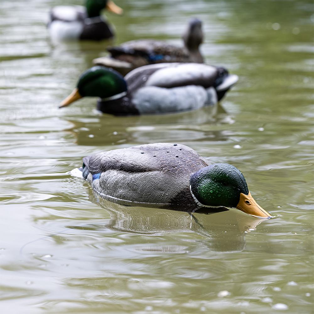 Avian-X Tip Up Mallard Feeder Picture of AVIAN TIP UP MALLARD FEEDER
