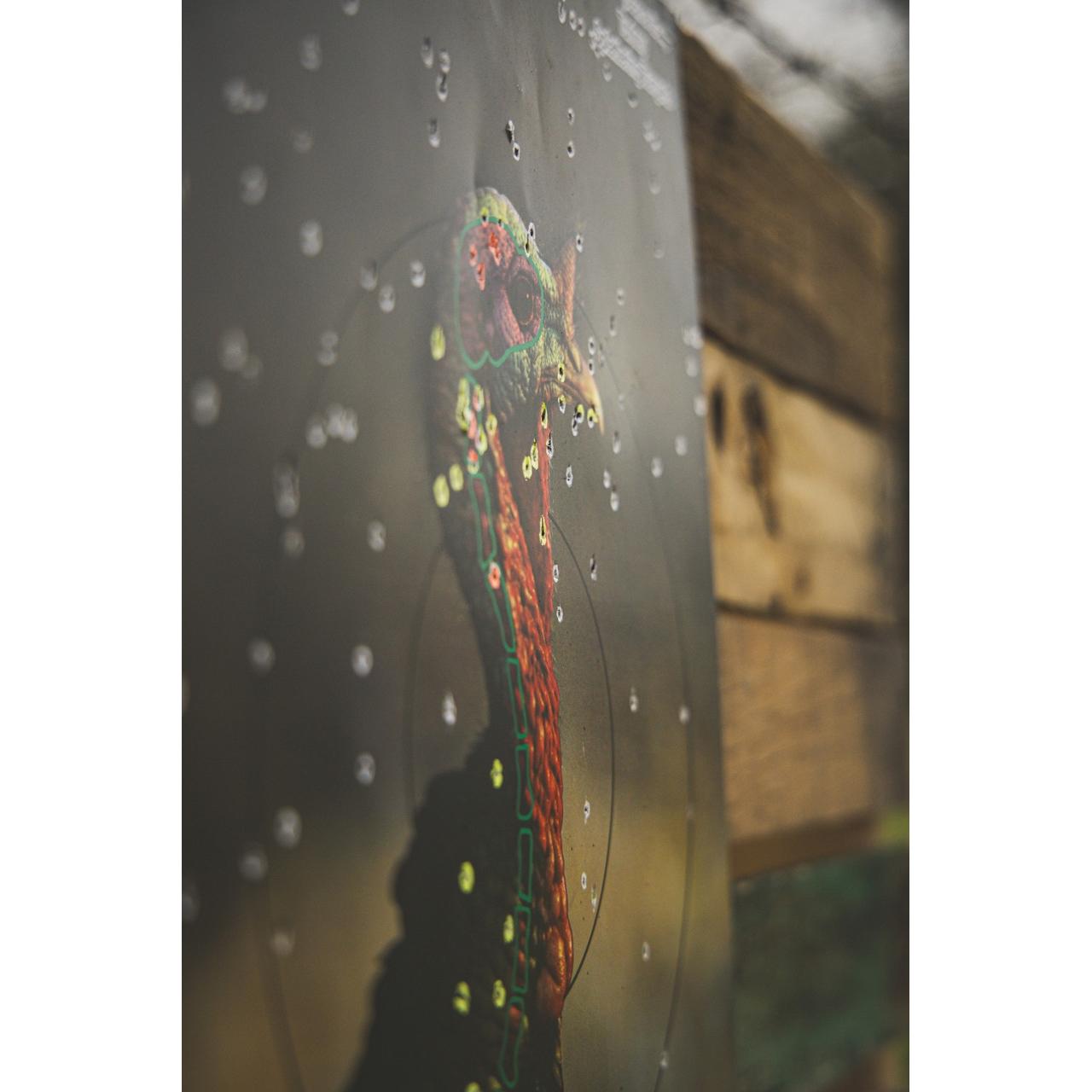 Birchwood Casey Pregame Turkey Paper Targets 12"x18" 8/ct Picture of Birchwood Casey PREGAME 12? X 18? TURKEY TARGET - 8-PK
