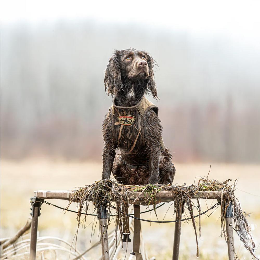 Rig'Em Right Swamp Bully Dog Stand Picture of AdvenTec LLC dba Rig Em Right Outdoors Rig Em Right Swamp Bully Dog Stand