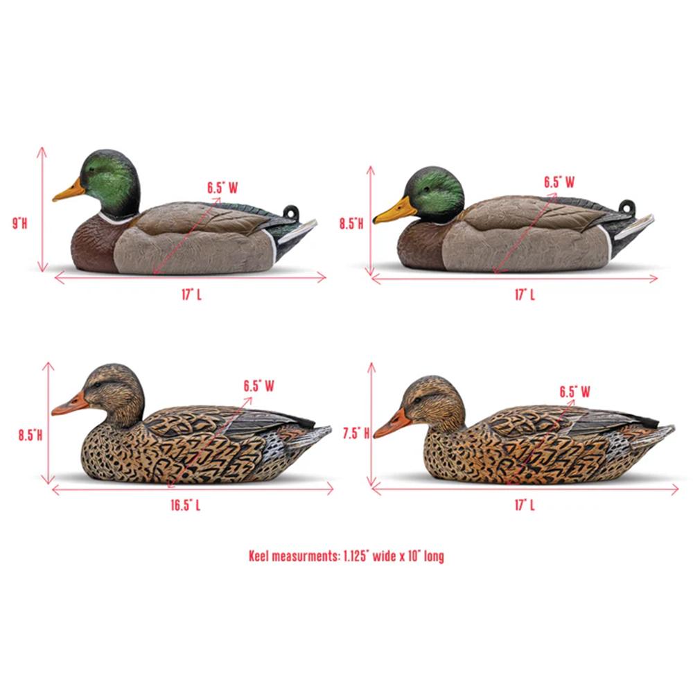 Rig'Em Right Mainline Series Mallard Decoy 6/ct Picture of AdvenTec LLC dba Rig Em Right Outdoors Mallard Decoy Six-Pack EVA