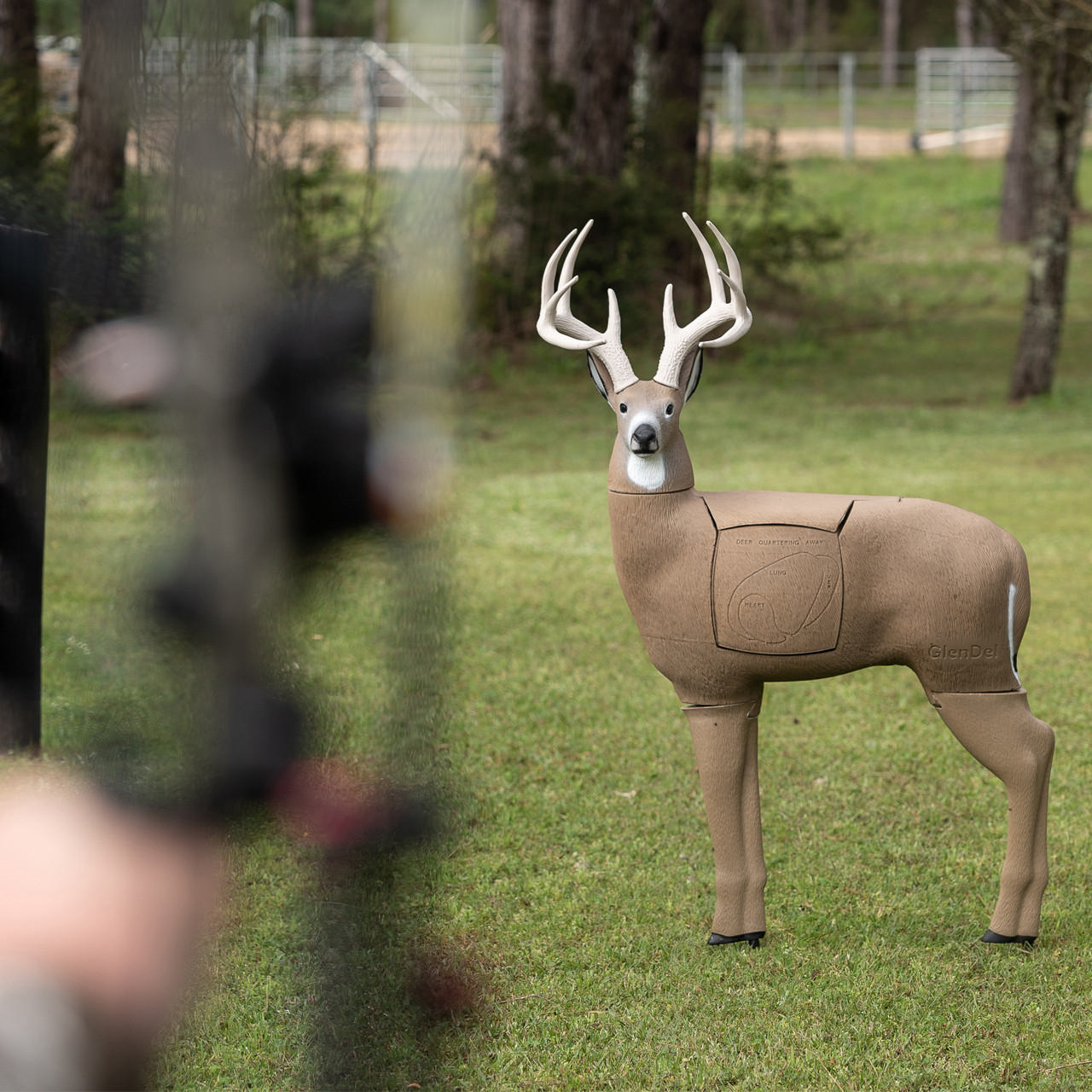 GlenDel Full-Rut Buck w/4-Sided Insert Picture of Feradyne Outdoors GlenDel Full-Rut Buck w/4 sided insert