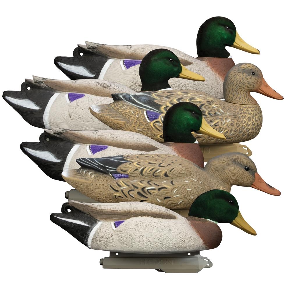 Higdon Outdoors Battleship Mallard Flocked Heads 6/ct Picture of Higdon Outdoors Higdon Outdoors Battleship Mallard Flocked Heads 6pk