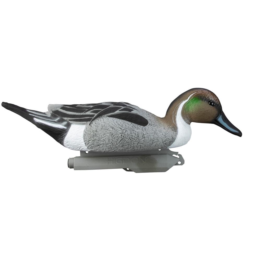 Picture of Higdon Outdoors Higdon Outdoors Standard Pintail Foam Filled 6pk