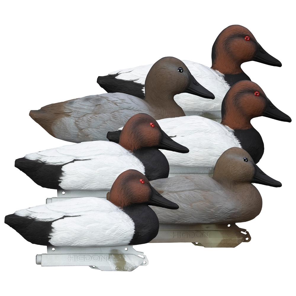 Picture of Higdon Outdoors Higdon Outdoors Standard Canvasback Foam Filled 6pk