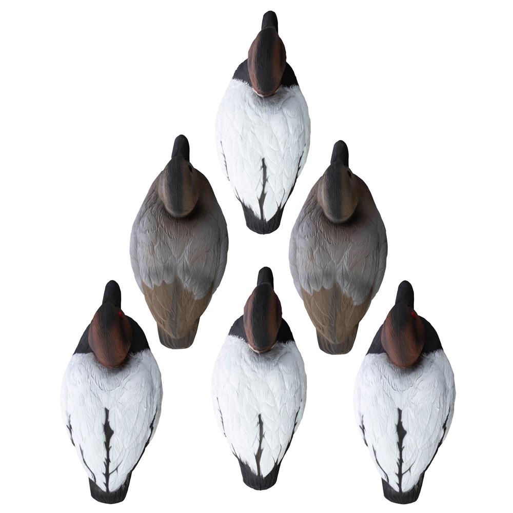 Picture of Higdon Outdoors Higdon Outdoors Standard Canvasback Foam Filled 6pk