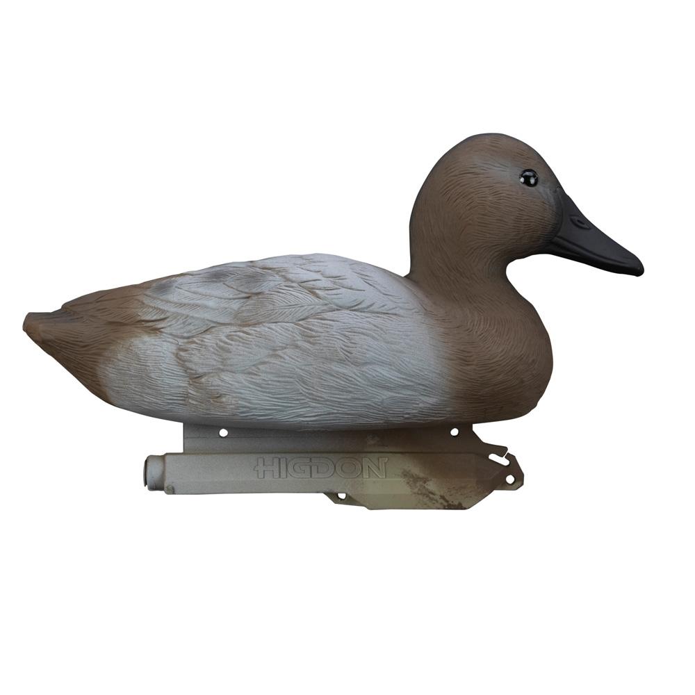 Picture of Higdon Outdoors Higdon Outdoors Standard Canvasback Foam Filled 6pk