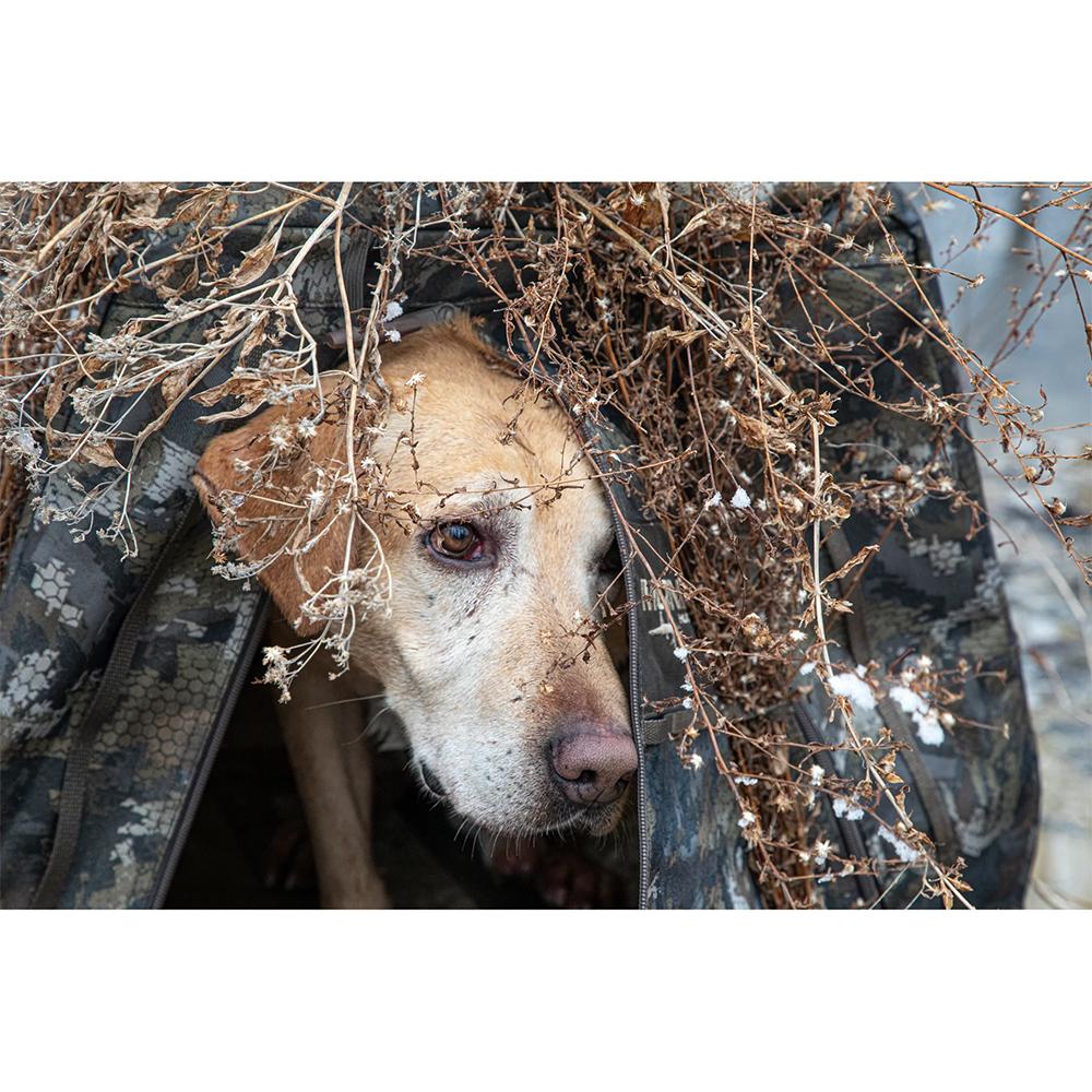 MoMarsh Invisilab Dog Blind Mossy Oak Original Shadow Grass Picture of Higdon Outdoors Higdon Invisi-Lab (MO Original Shadow Grass)