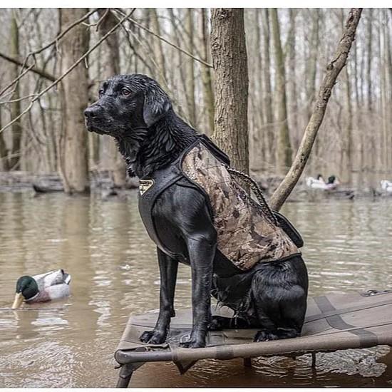 Higdon Outdoors Versa Vest Dog Vest Mossy Oak Bottomland Picture of Higdon Outdoors Versa Vest (MO Original Bottomland)