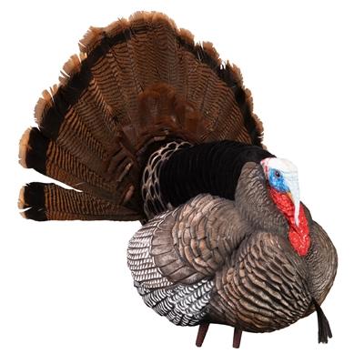 Picture of Higdon Outdoors Higdon Outdoors Apex Strutter Hard Body Turkey