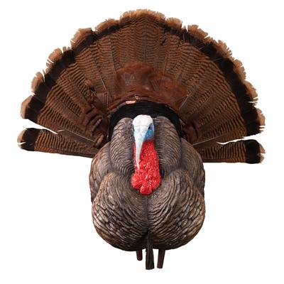 Picture of Higdon Outdoors Higdon Outdoors Apex Strutter Hard Body Turkey