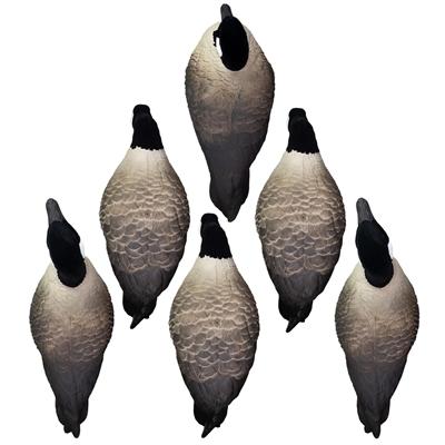 Higdon Outdoors APEX Full-Size Full-Body Variety Pack - Canada Goose Picture of Higdon Outdoors Higdon Outdoors APEX Full-Size Full-Body Variety Pk Canada
