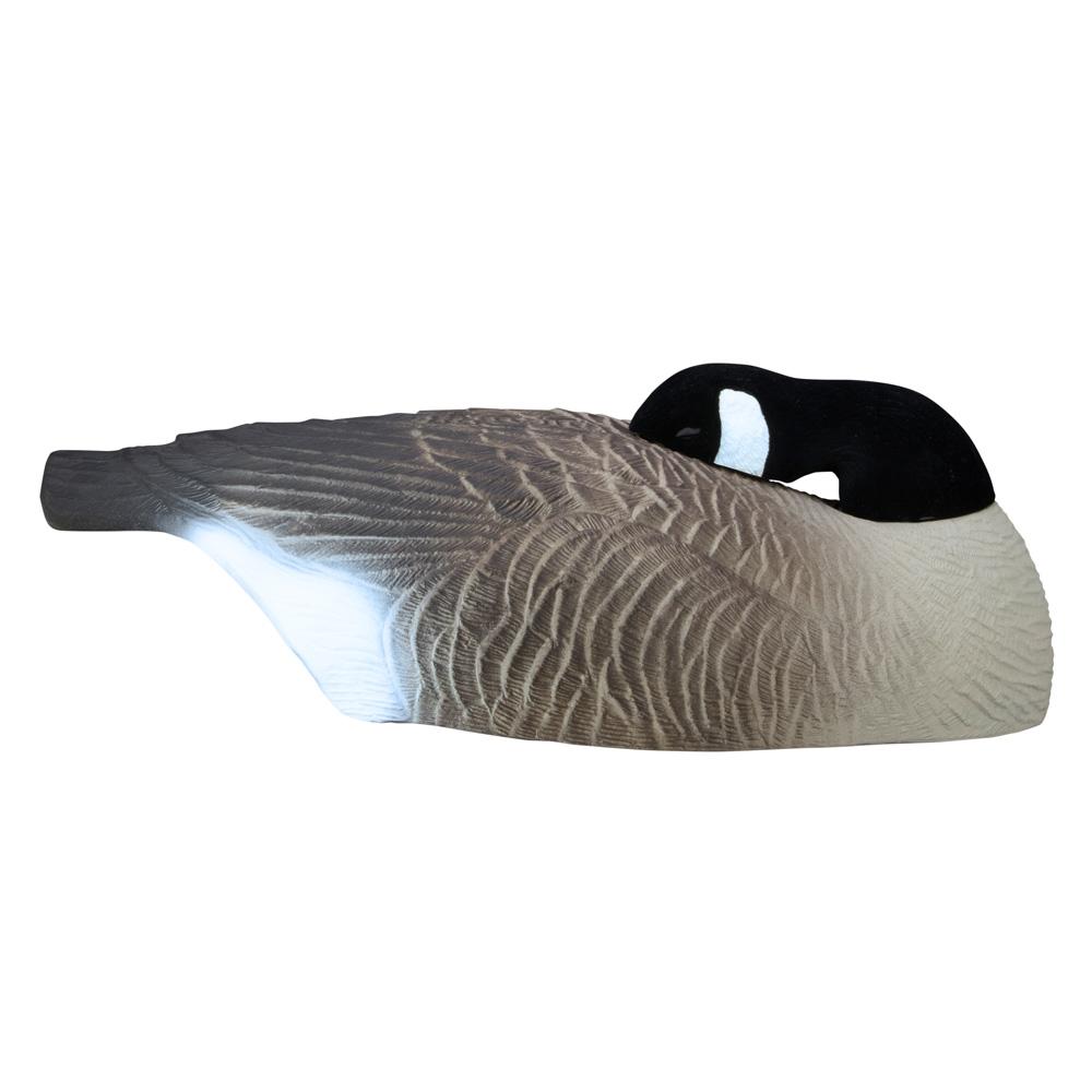 Picture of Higdon Outdoors Higdon Outdoors Full Size Half Shell Sleeper Pack Canada 6pk