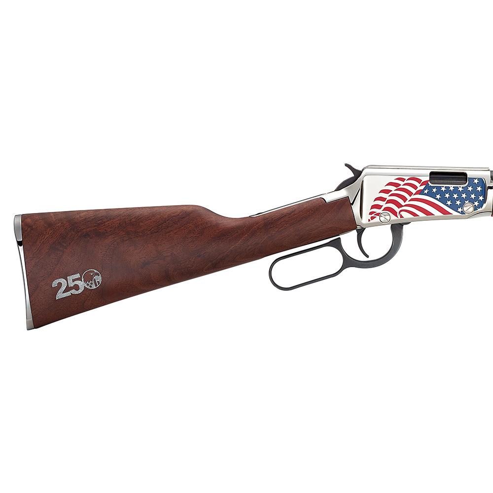 Picture of Henry Repeating Arms Company Henry H1 America's 250th Anniversary Tribute Edition Youth Model .22 S/L/LR