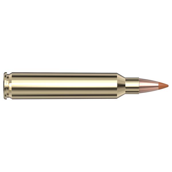 Hornady Varmint Express Rifle Ammunition .204 Ruger 24 gr NTX 4400 fps 20/ct Picture of Hornady Mfg AMMO VARMINT EXPRES 204 RUGER 24GR NTX